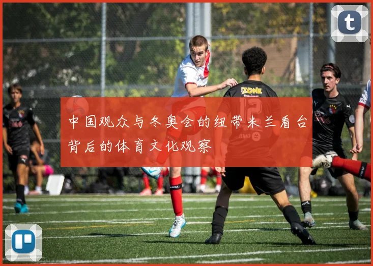中国观众与冬奥会的纽带米兰看台背后的体育文化观察